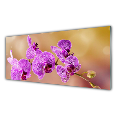 Sklenený obklad Do kuchyne Orchidea výhonky kvety príroda