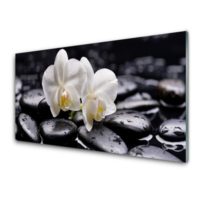 Sklenený obklad Do kuchyne Kamene zen biela orchidea