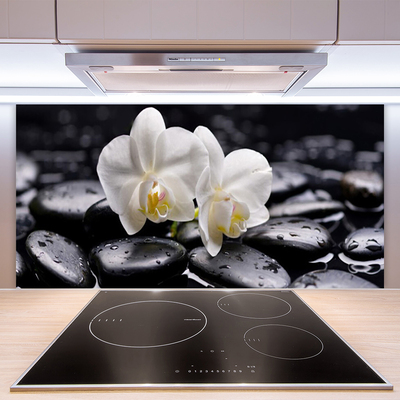 Sklenený obklad Do kuchyne Kamene zen biela orchidea