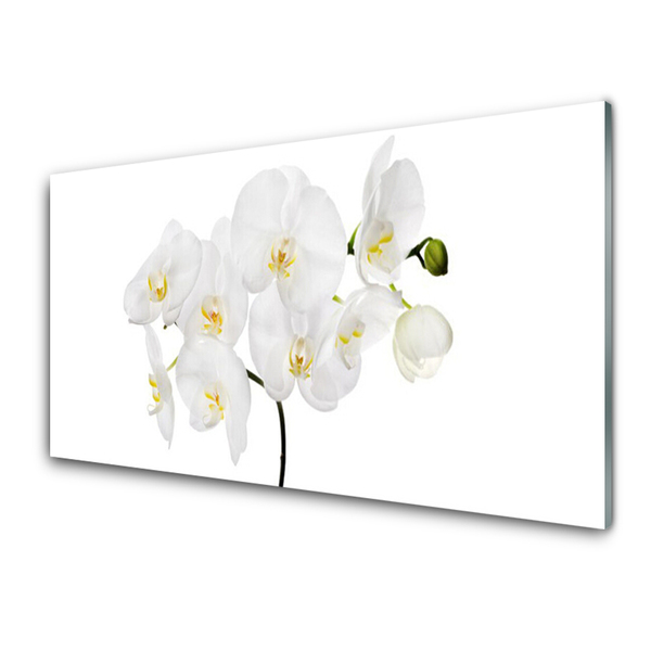 Sklenený obklad Do kuchyne Biela orchidea kvety