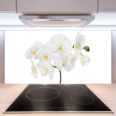 Sklenený obklad Do kuchyne Biela orchidea kvety