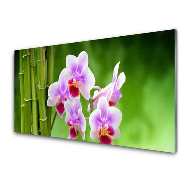 Sklenený obklad Do kuchyne Bambus orchidea kvety zen