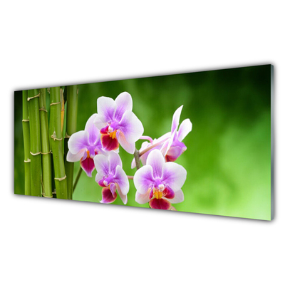 Sklenený obklad Do kuchyne Bambus orchidea kvety zen