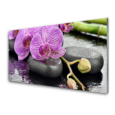 Sklenený obklad Do kuchyne Kamene zen orchidea kúpele