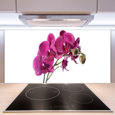 Sklenený obklad Do kuchyne Orchidea kvety príroda