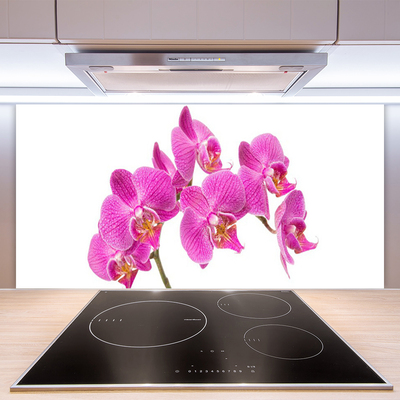 Sklenený obklad Do kuchyne Orchidea kvety príroda