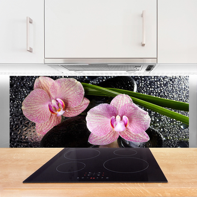 Sklenený obklad Do kuchyne Kvety orchidea kamene zen