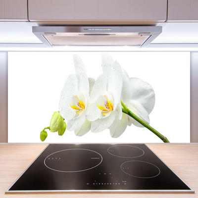 Sklenený obklad Do kuchyne Plátky kvet bíla orchidea
