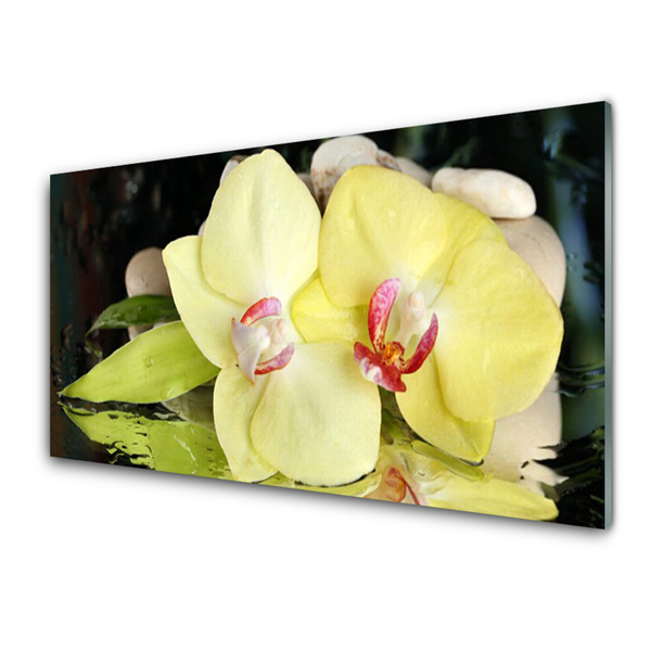 Sklenený obklad Do kuchyne Okvetné plátky orchidea