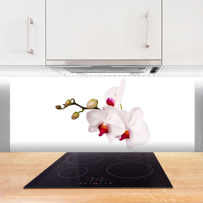 Sklenený obklad Do kuchyne Kvety príroda orchidea