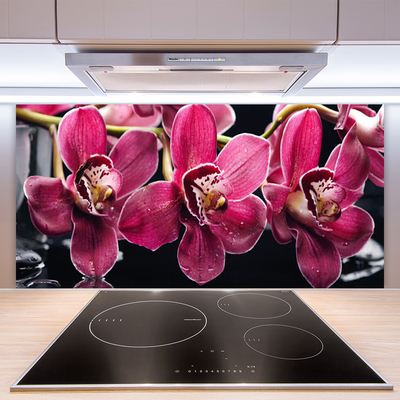 Sklenený obklad Do kuchyne Kvety orchidey výhonky príroda