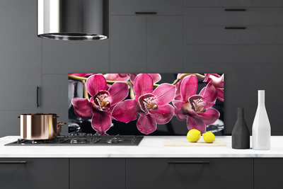 Sklenený obklad Do kuchyne Kvety orchidey výhonky príroda