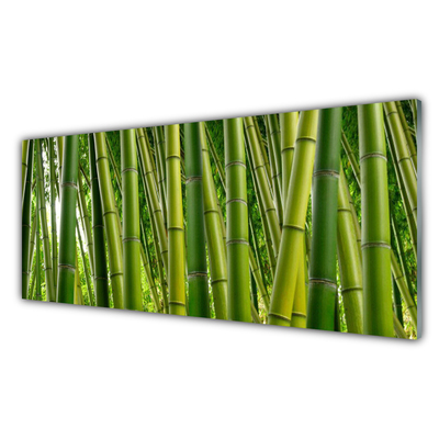 Sklenený obklad Do kuchyne Bambusový les bambusové výhonky