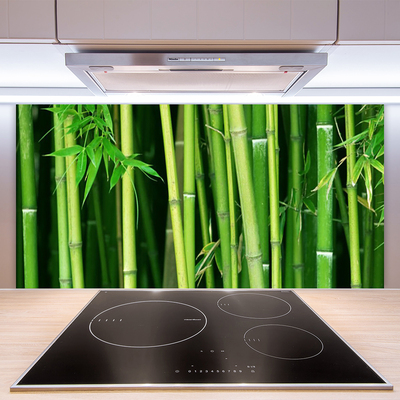 Sklenený obklad Do kuchyne Bambusový les bambus príroda