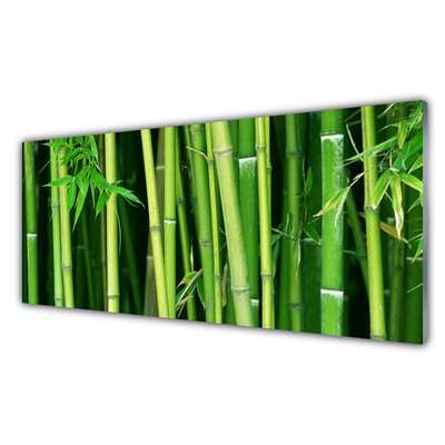 Sklenený obklad Do kuchyne Bambusový les bambus príroda