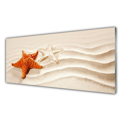 Sklenený obklad Do kuchyne Hviezdice na piesku pláž