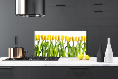Sklenený obklad Do kuchyne Tulipány kvety príroda