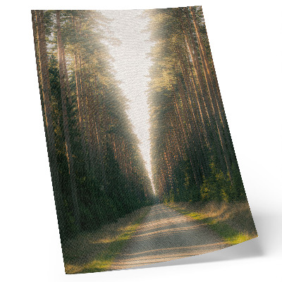Poster na stenu Úžasný lesný chodník s vysokými stromami