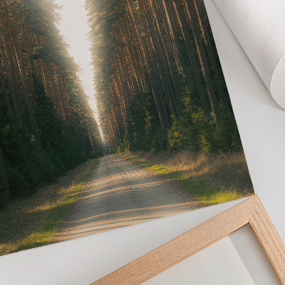 Poster na stenu Úžasný lesný chodník s vysokými stromami