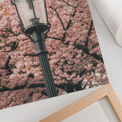 Poster na stenu Ružové stromy, čierny lampáš, nostalgická atmosféra