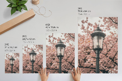 Poster na stenu Ružové stromy, čierny lampáš, nostalgická atmosféra