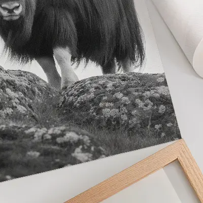 Plagát na stenu čiernobiela fotografia divokej prírody v elegantnom štýle