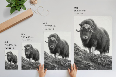 Poster na stenu Čiernobiela zvieracia surová príroda elegancia