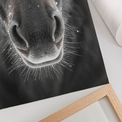 Poster na stenu Fotorealistický detailný záber konskej tváre v snehu
