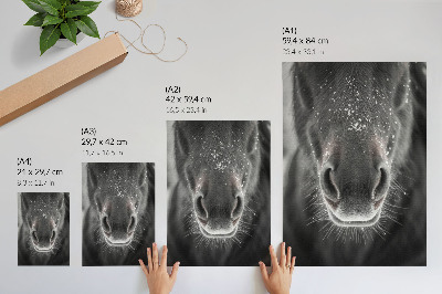 Poster na stenu Fotorealistický detailný záber konskej tváre v snehu