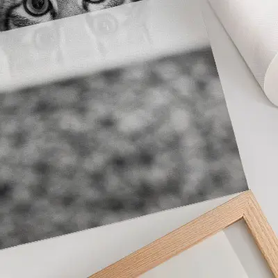 Plagát Mačka za povrchom čiernobiely minimalizmus