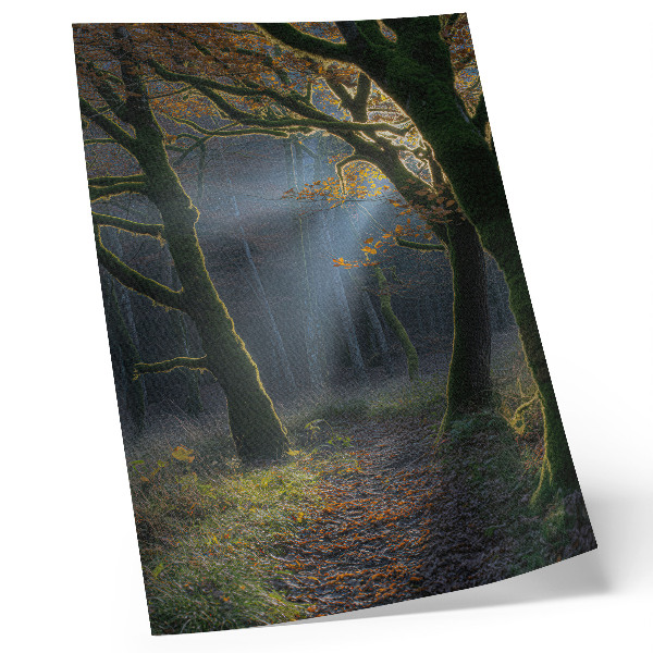 Plagát do obývačky Magický les, jesenné svetlo, pokojná atmosféra