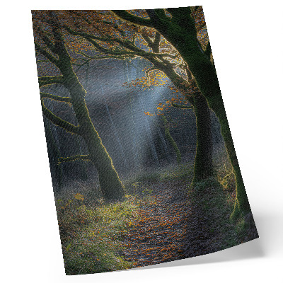 Plagát do obývačky Magický les, jesenné svetlo, pokojná atmosféra