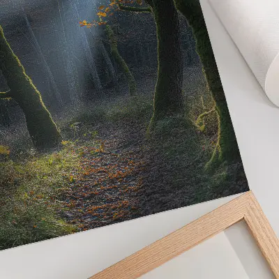 Plagát do obývačky magický les v jesennom svetle s pokojnou atmosférou