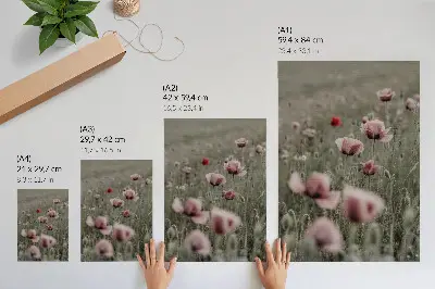 Plagát s motívom pastelových vlčích makov v romantickom štýle s jemnými kvetmi