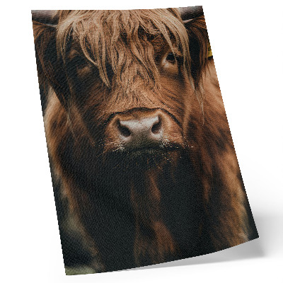 Plagát Zvierací portrét kožušiny rustikálna atmosféra detail