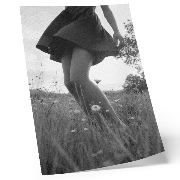 Plagát Čiernobiela fotografia lúky plnej harmónie a pokoja.