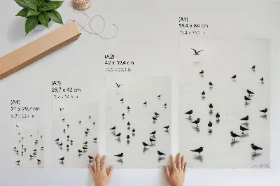 Plagát na stenu vtáky nad vodou s jemnými odrazmi v minimalistickom štýle