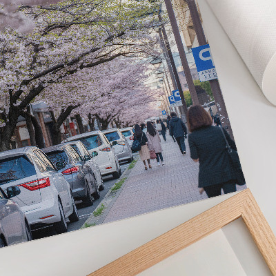 Poster na stenu Ulica s čerešňovými kvetmi a zaparkovanými autami