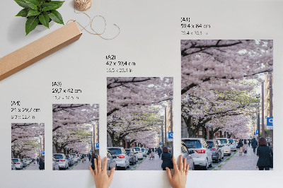 Poster na stenu Ulica s čerešňovými kvetmi a zaparkovanými autami