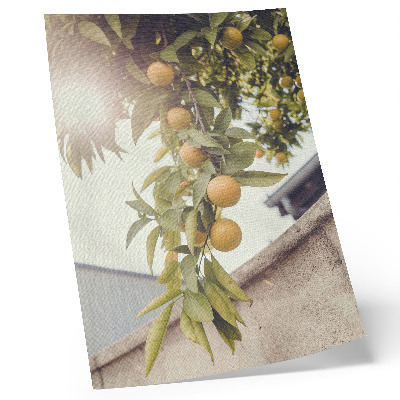 Plagát konár stromu slnko zelená listy oranžová