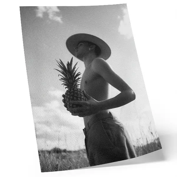 Plagát na stenu monochromatický obrázok s motívom klobúka na ananásovom poli