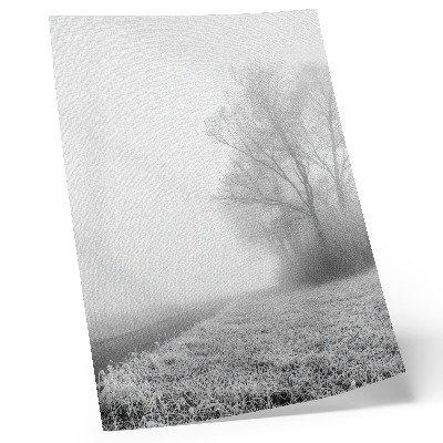 Poster na stenu Jemná hmla stromy zimná krajina pokojná atmosféra