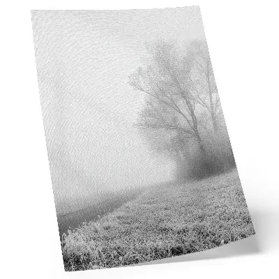 Plagát na stenu jemná hmla v zimnej krajine so stromami pre pokojnú atmosféru