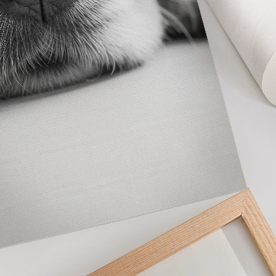 Poster na stenu Detailný záber psa, čiernobiela textúra, minimalizmus