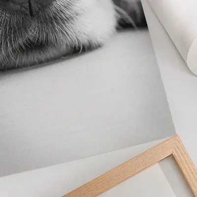 Plagát na stenu detailný záber psa s čiernobielou textúrou v minimalistickom štýle