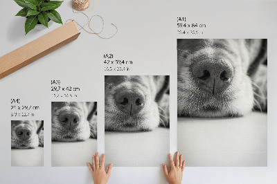 Poster na stenu Detailný záber psa, čiernobiela textúra, minimalizmus