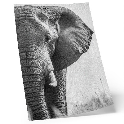 Poster na stenu Monochromatická atmosféra, pokrčená koža, elegancia