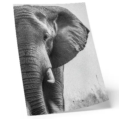 Plagát na stenu monochromatická atmosféra s motívom pokrčenej kože v štýle elegancie