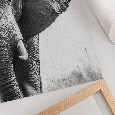 Poster na stenu Monochromatická atmosféra, pokrčená koža, elegancia
