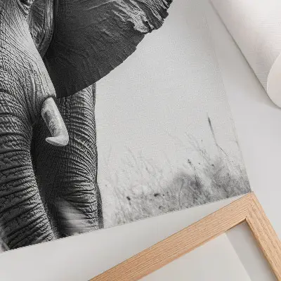 Plagát na stenu monochromatická atmosféra s motívom pokrčenej kože v štýle elegancie